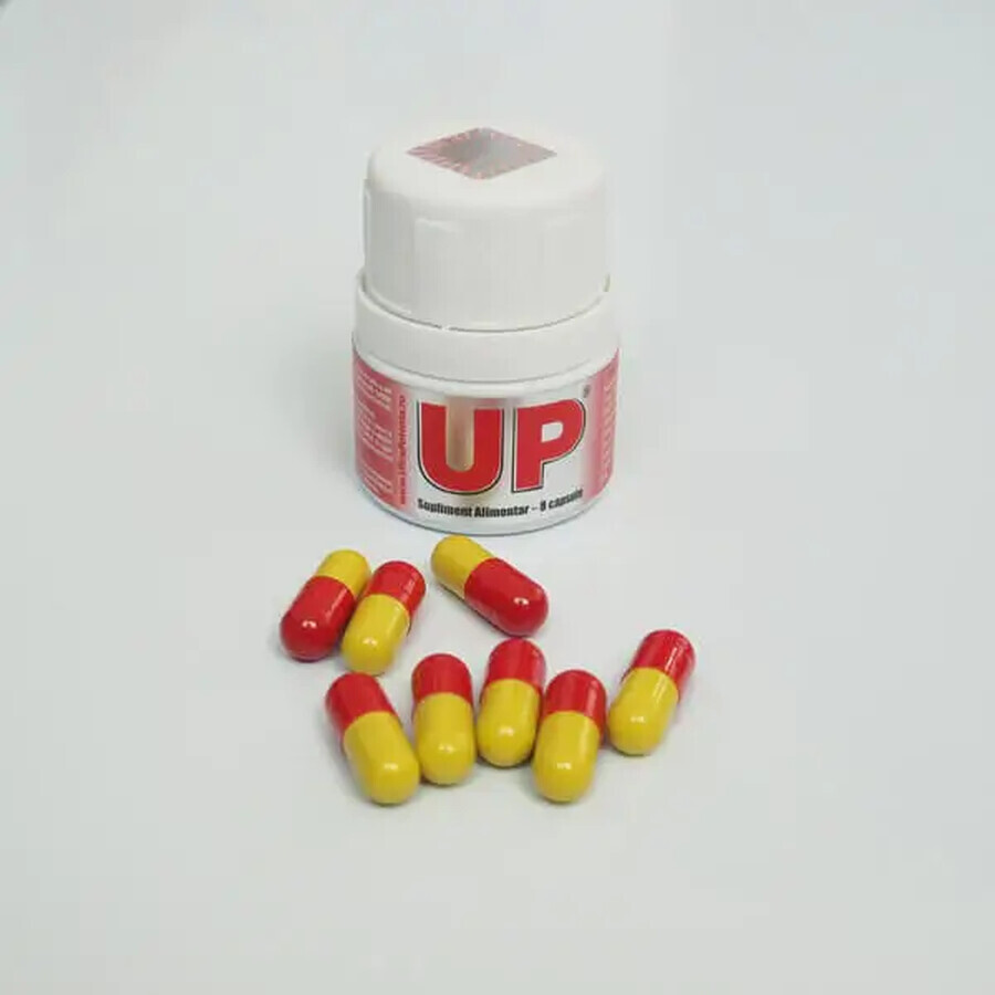 Hilcon UP, 8 capsules, Web Guru