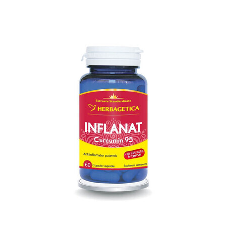 Inflammé Curcumine95, 60 gélules, Herbagetica