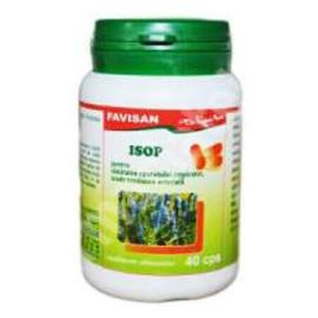 Issopo, 40 capsule, Favisan