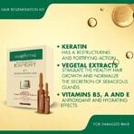 Kit Rigenerazione Capelli - Fiale, Gerovital Tratament Expert, 10 fiale x 5 ml / 10 fiale x 10 ml, Farmec