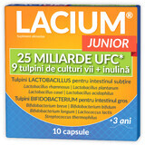 Lacium Junior 25 miliardi CFU, 10 capsule, Zdrovit