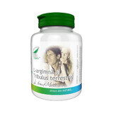 L-arginine and Tribulus Terrestris, 60 capsules, Pro Natura