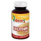 Lecithin 1200 mg, 60 capsules, Adams Vision