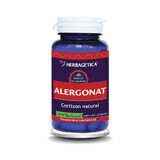 Allergonat, 60 capsules, Herbagetica