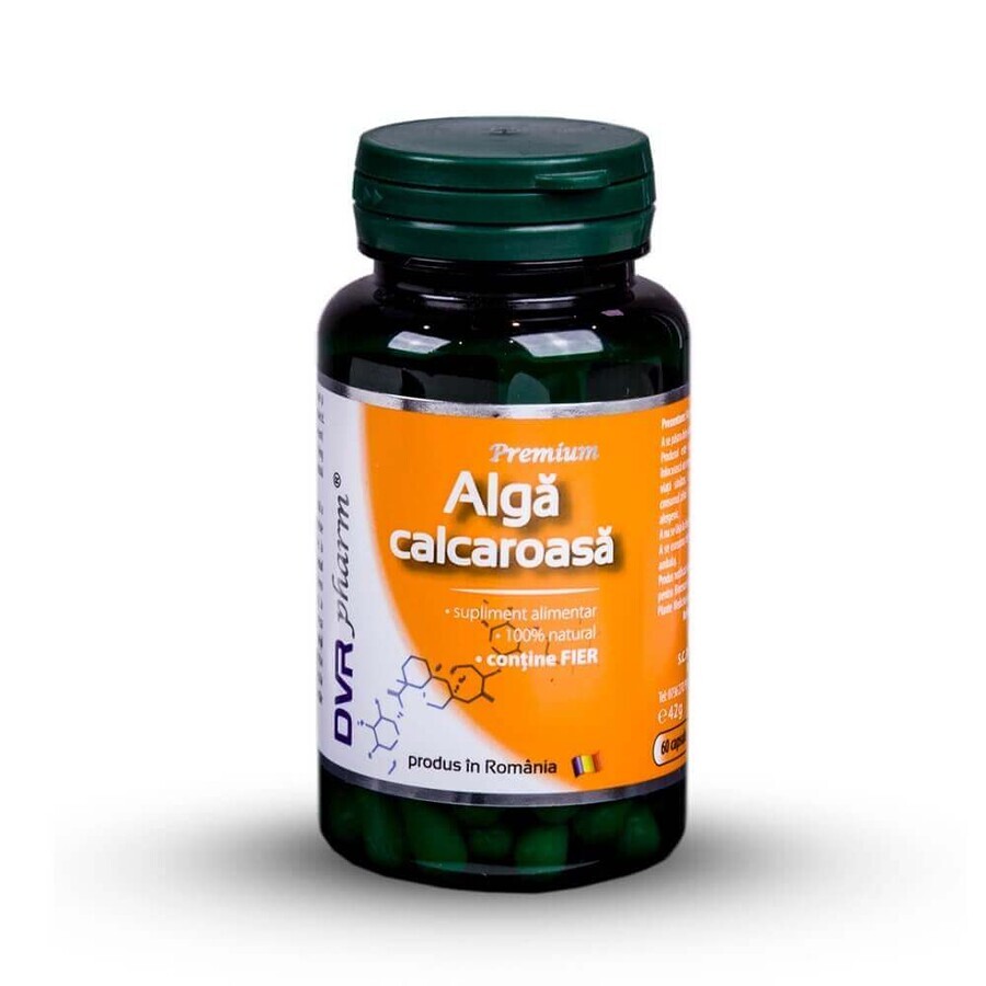 Algă calcaroasă, 60 capsule, Dvr Pharm