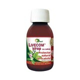 Livecom Sugar Syrup, 100 ml, Ayurmed