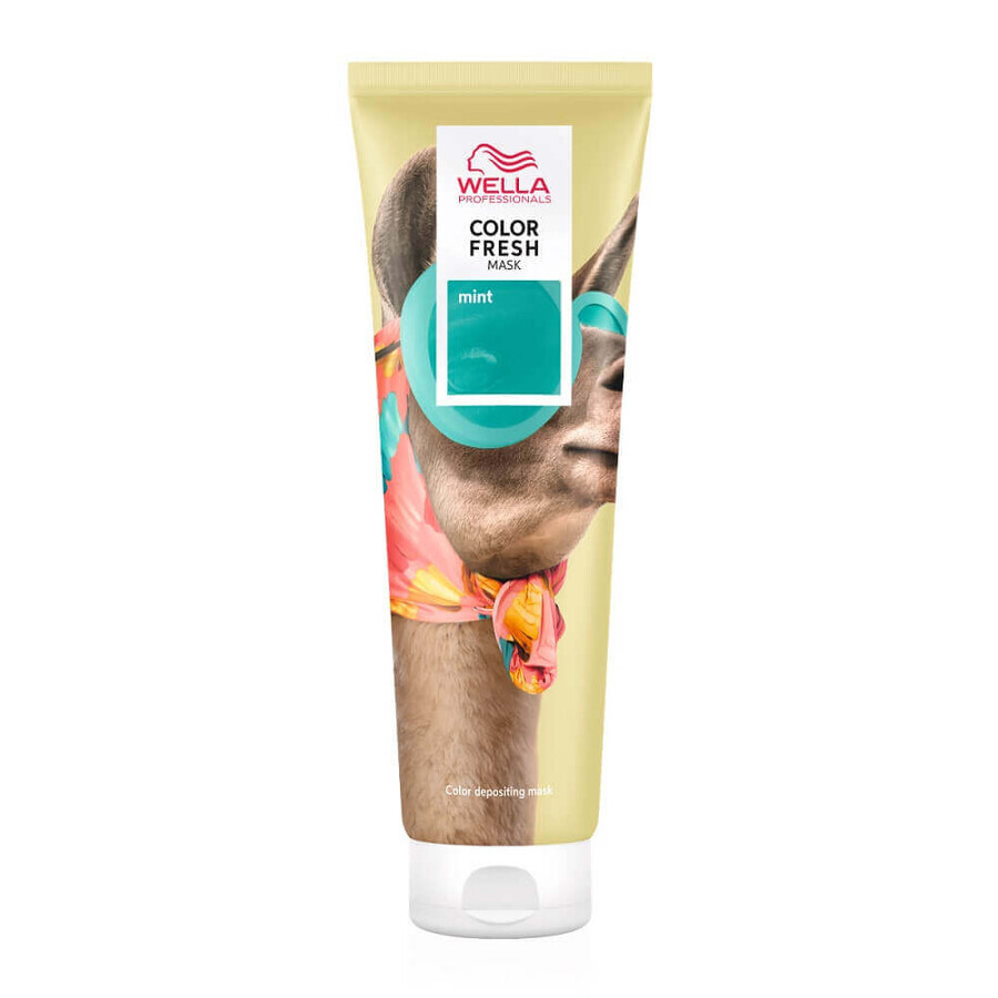 Colour Fresh Mint Mask, 150 ml, Wella