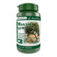 Mastic Gum, 60 capsule, Pro Natura