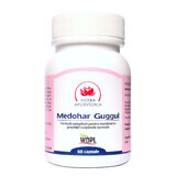 Medohar Guggul, 60 capsules, Ayurvedic Herb