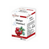 Mirtillo rosso e vitamina C, 30 capsule, FarmaClass