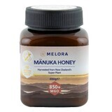 Miele di Manuka MGO 850+, 250g, Melora