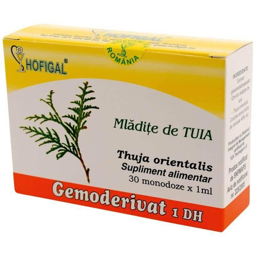 Tuia-Knospen, Gemoderivat, 30 Einzeldosen, Hofigal