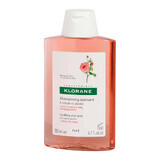 Shampoo with peony extract for sensitive and irritated scalp, 200 ml, Klorane