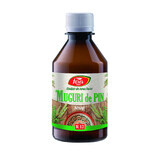 Pine Bud Syrup, R12, 250 ml, Fares