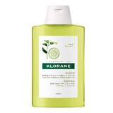 Shampoo with citrus pulp for hair with a tendency to fat, 200 ml, Klorane