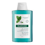 Shampoo Alla Menta Acquatica Klorane 200ml