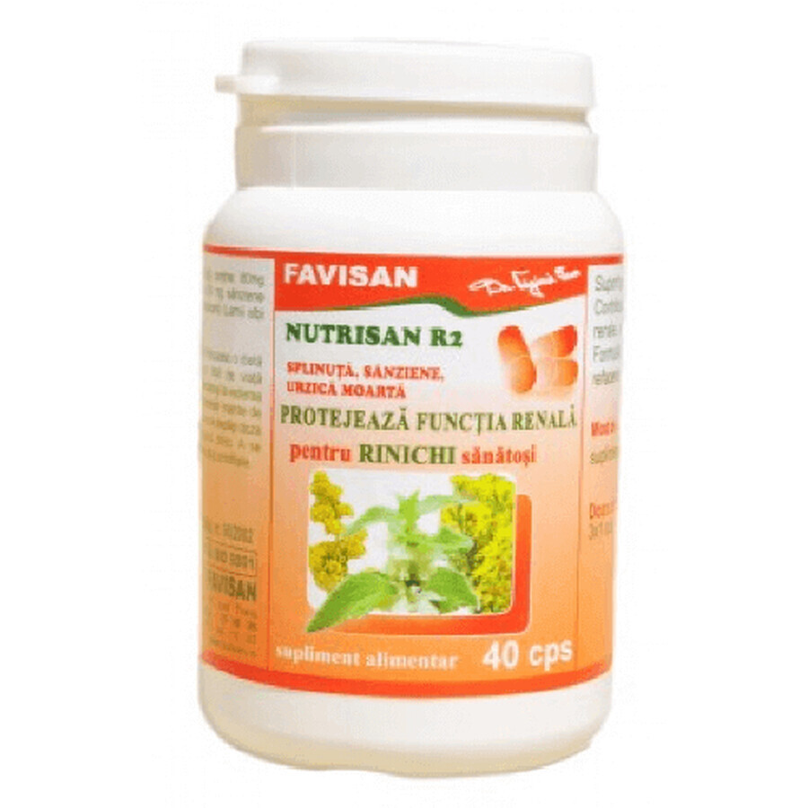 Nutrisan R2, 40 capsules, Favisan