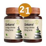 Pack Ginkana Ginko Biloba Forte 80mg, 30 tablets, Alevia (1+1)