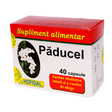 Păducel, 40 capsule, Hofigal