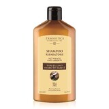 Repairing shampoo with linseed and shea butter, 300 ml, L'Erboristica