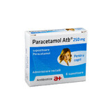 Paracetamolo 250 mg, 6 supposte, Antibiotice SA 