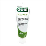 Activital Toothpaste, 75ml, Sunstar Gum