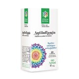 Anti-inflammatory, 60 capsules, Divine Star