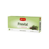 Pinovital, 30 compresse, Biofarm