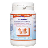 Vitalong Antiossidante (B054), 40 capsule, Favisan