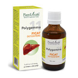 Polygemma 11 Liver Detox, 50 ml, Plant Extrakt