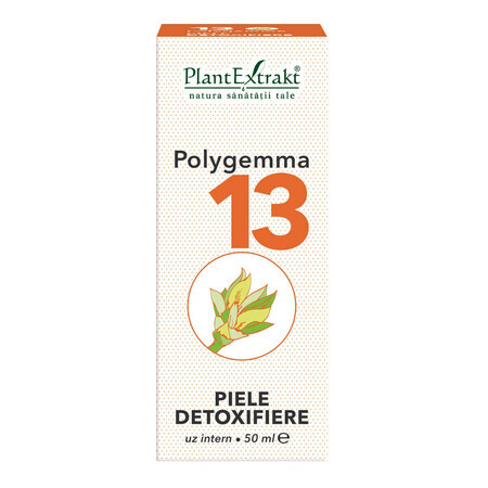 Polygemma 13 Disintossicazione della pelle, 50 ml, Estratto vegetale