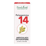 Polygemma 14, Detoxifying joints, 50 ml, Plant Extrakt