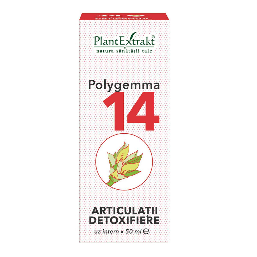 Polygemma 14, Joints détoxifiants, 50 ml, Extraits de plantes