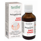 Polygemma 21 Teeth, Gums, 50 ml, Plant Extrakt