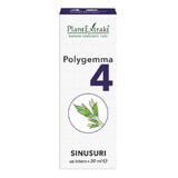 Polygemma 4, Sinuses, 30 ml, Plant Extrakt