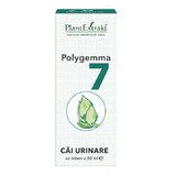 Polygemma 7, Urinary Tract, 50 ml, Plant Extrakt