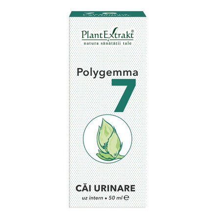 Polygemma 7, tratto urinario, 50 ml, PlantExtrakt