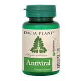 Antiviral, 60 tablets, Dacia Plant