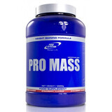 Pro Mass al gusto di fragola, 1600 g, Pro Nutrition