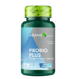 ProbioPlus, 20 capsules, Adams Vision