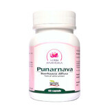 Punarnava, tonico delle vie urinarie, 60 capsule, erbe ayurvediche