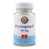 Pycnogenol 50mg Kal, 30 tablet, Secom