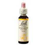 Hornbeam Original Bach rimedio floreale gocce di carpino, 20 ml, Rescue Remedy