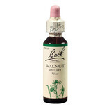 Floral Remedy Walnut Original Bach gocce, 20 ml, Rescue Remedy