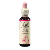 Gocce di rimedio floreale di Bach originale al pino, 20 ml, Rescue Remedy