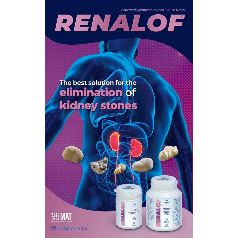 Renalof 325 mg, 90 capsules, Catalysis