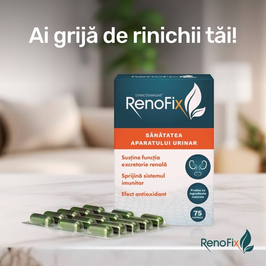 Renofix Stancosimagne, 75 capsule, Queisser Pharma