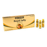 Royal Jelly 300mg, 10 vials, Only Natural