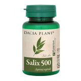 Salix, 60 tablets, Dacia Plant