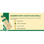 Shampoo Anticaduta Gerovital Tratament Expert, 400 ml, Farmec